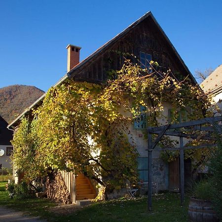 Vintage House Podliparska Guest House Fara Exterior foto