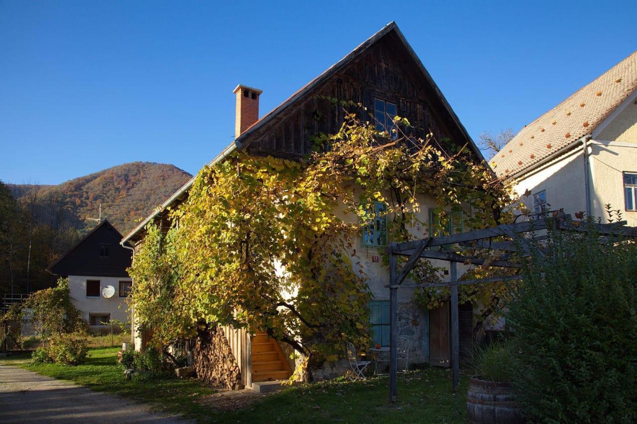 Vintage House Podliparska Guest House Fara Exterior foto