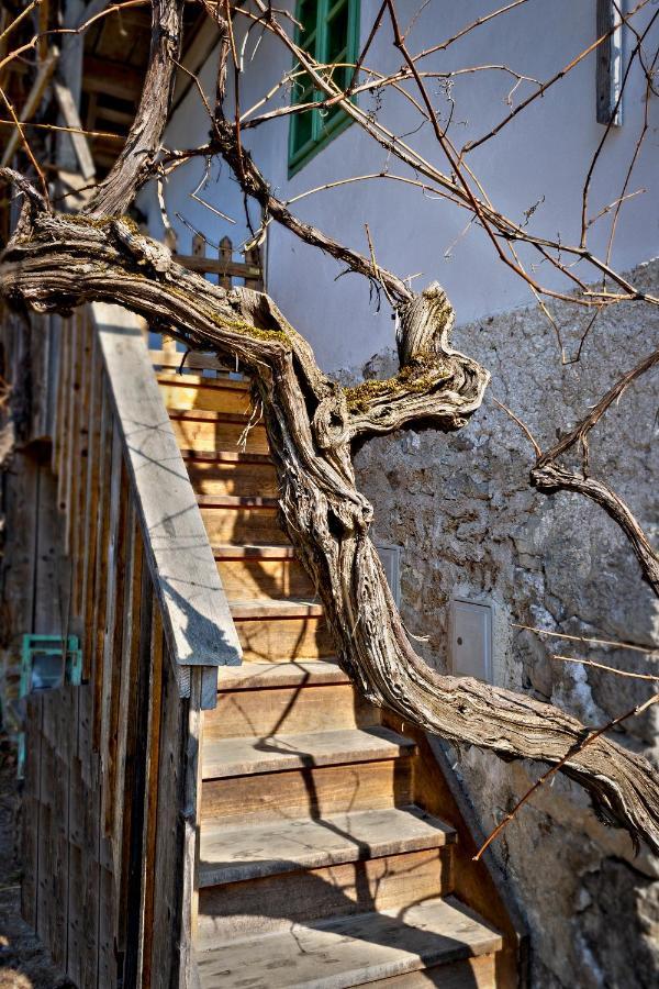 Vintage House Podliparska Guest House Fara Exterior foto